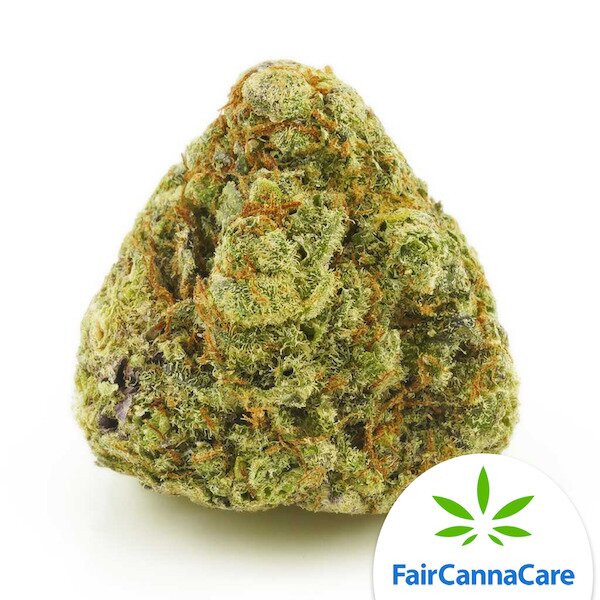 PURPLE CANDY (AAAA) HYBRID