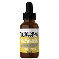 thoughtcloud