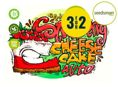 STRAWBERRY CHEESECAKE AUTO FEMINISED SEEDS