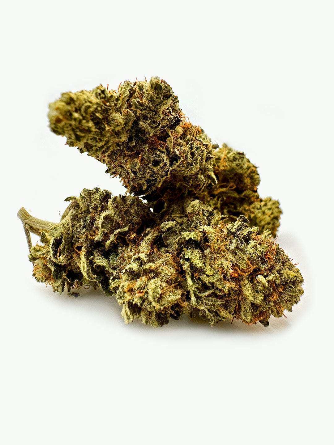 HempElf Pine Bubba Kush Hemp Flowers