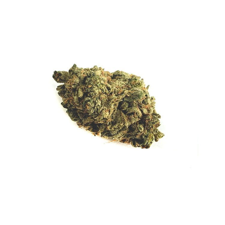 Online Dispensary Canada Indica Hybrid Purple Candy Kush