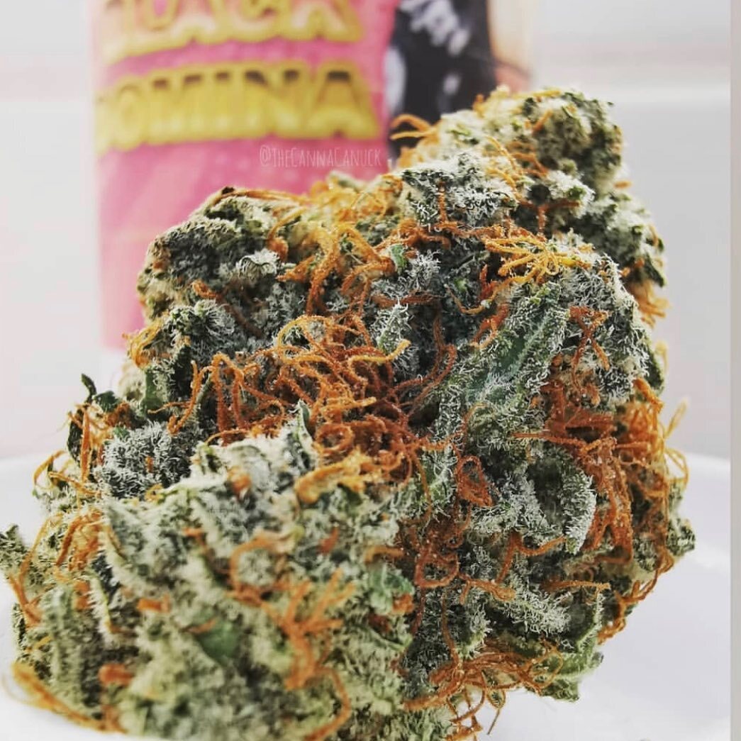 Indica Cannabis