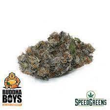 King Louis XIII Craft TOP SHELF