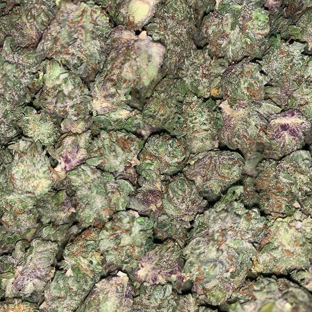 Sativa Cannabis