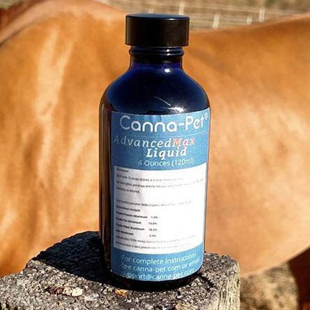 canna pet oil