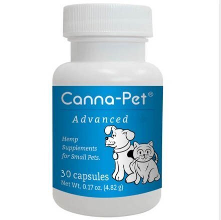 cbd capsules cats and dogs