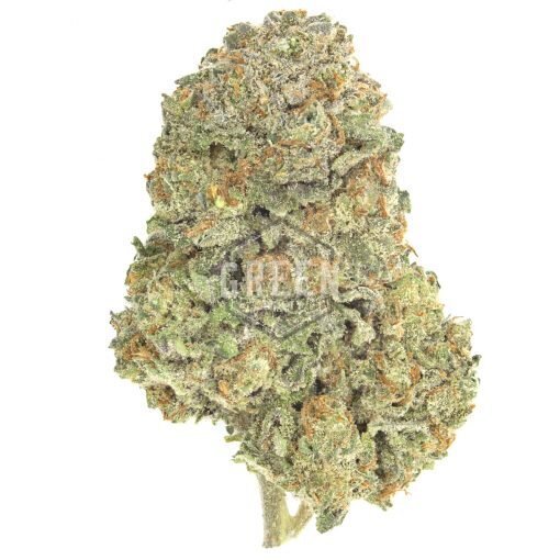Green Society Jack Herer