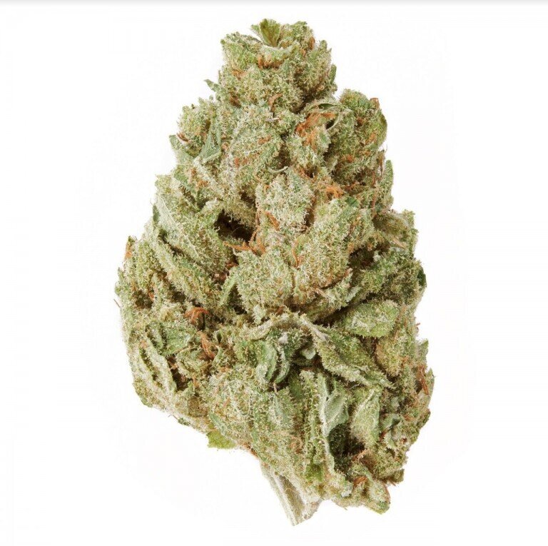 Plain Jane CBD Hemp Flower (Indoor)