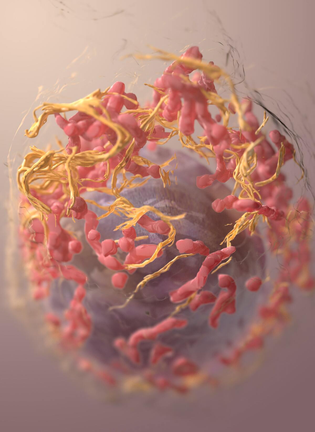 Cancer Cell Metabolism
