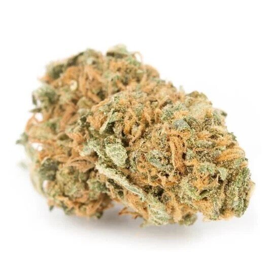 SeedSupreme Autoflower Seeds