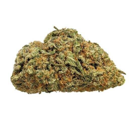 SeedSupreme Regular Seeds