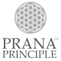 Prana Principle Review | 30% Off Coupon Code | CBDNerds