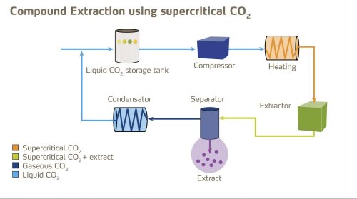 c02 cbd oil extraction